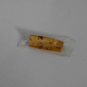 GENUINE Fossil Insect Inclusion in Burmese amber
